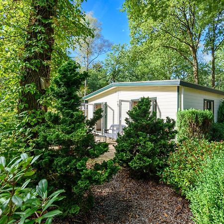Luxe Familiehuis Veluwe 4-6 Persons Pool Kids Dog โฮนเดอร์โล ภายนอก รูปภาพ